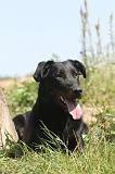 BEAUCERON 130